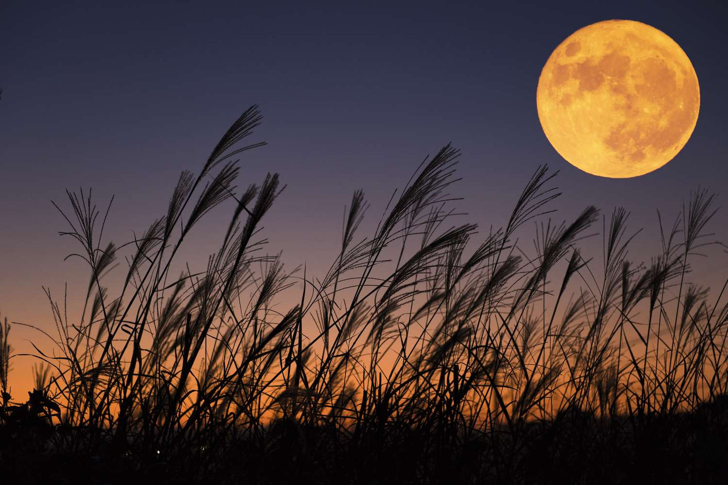 Harvest Full Moon Ceremony in September - non members
